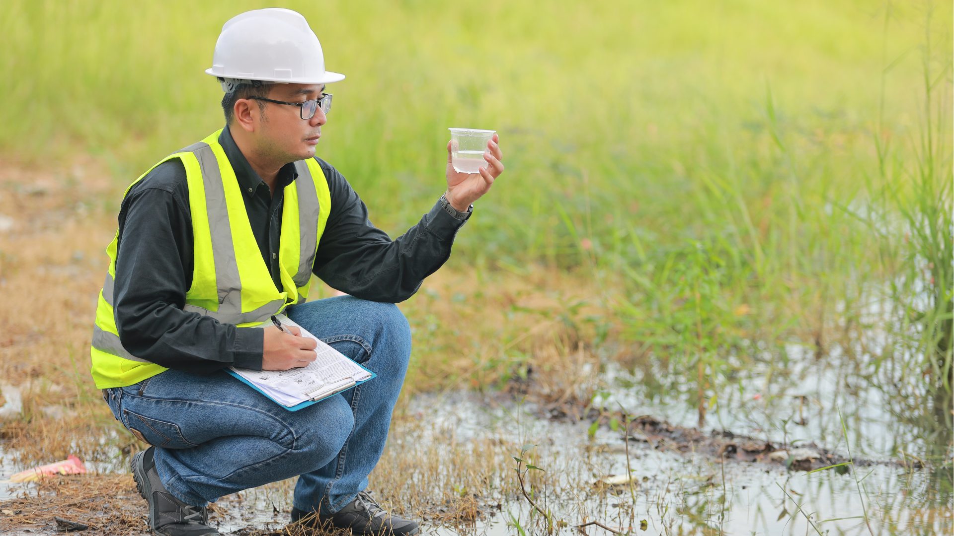 Environmental Analyst