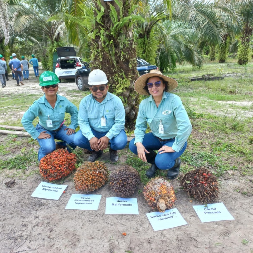 actions for the support and improvement of Family Farmers