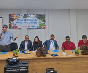 Adepará - Transito Dende