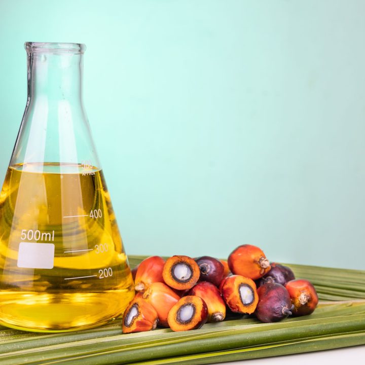 illustration of biodiesel from grupo BBF, with its raw material, palm oil