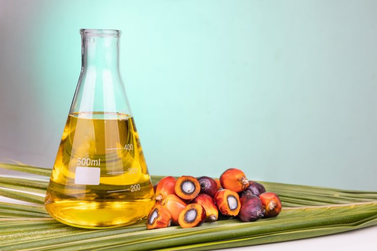 illustration of biodiesel from grupo BBF, with its raw material, palm oil
