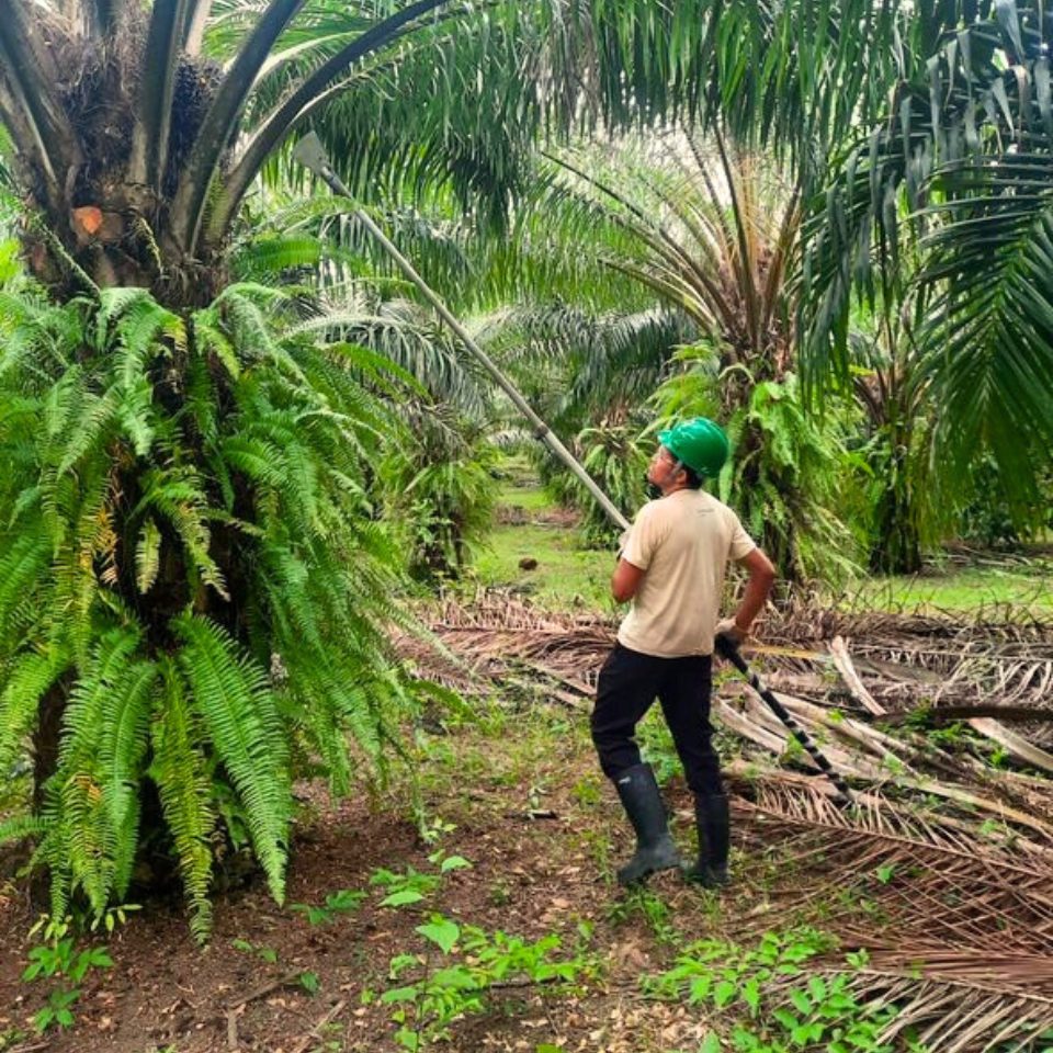 farmer in the family farming program BBF