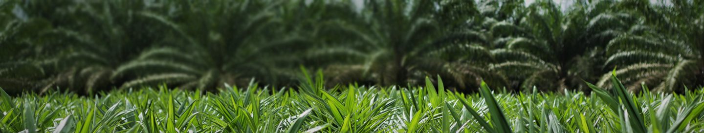 agribusiness