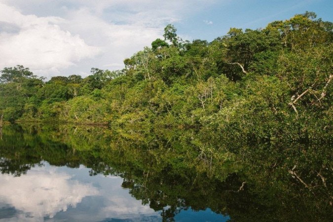 Amazon river water could become a product of the bioeconomy that the government envisions for the future - (credit Nathalia SegatoUnsplash)