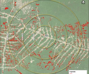 Deforestation Alerts - BBF Beacon - MapBiomas Alert