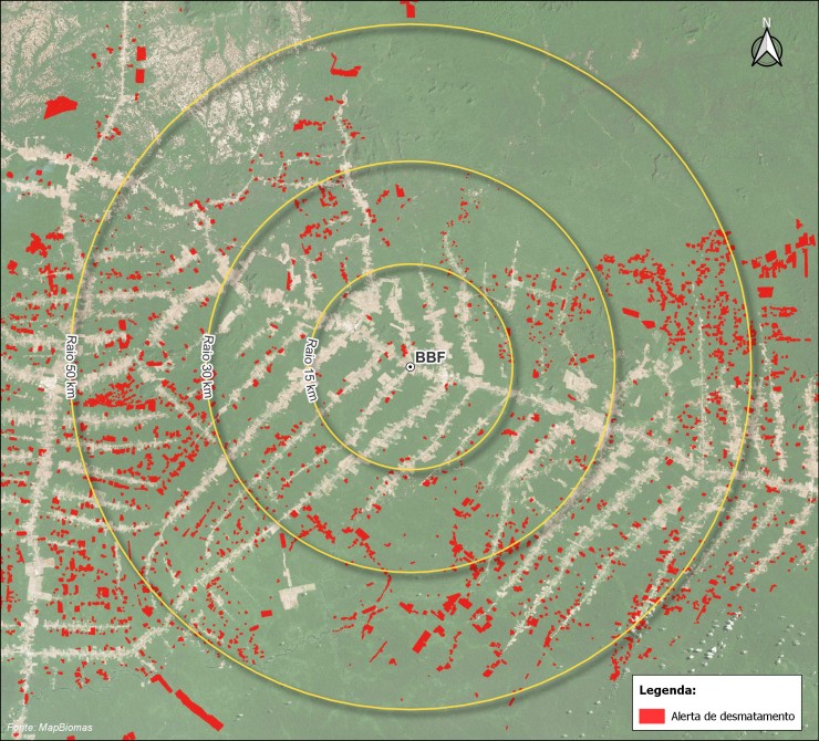 Deforestation Alerts - BBF Beacon - MapBiomas Alert