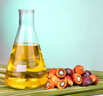 Fruits and Palm Oil