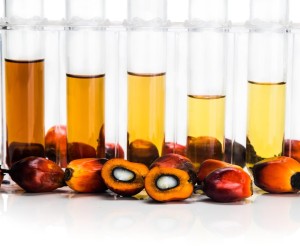 innovative biofuel made from palm oil