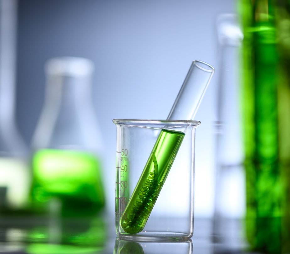 BioTech - research and innovation - customized products