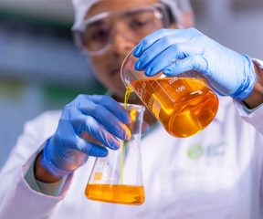 Collaborator in BBF BioTech