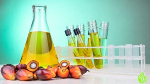 biotechnology and palm oil