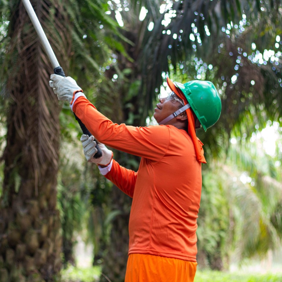 harvest-worker-min