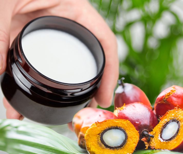 cream-palm-fruit