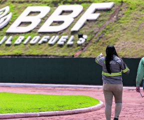 image of grupo BBF workers at the industrial plant