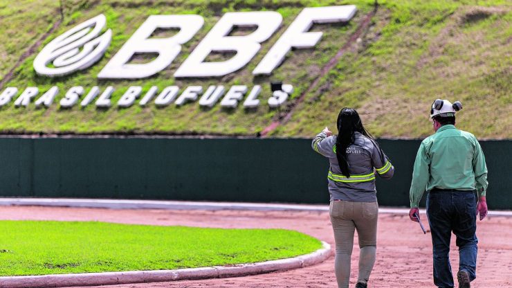 image of grupo BBF workers at the industrial plant