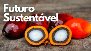 sustainable future - oil palm