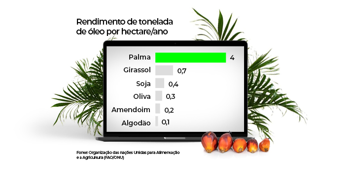 Graph yield of ton of oil per hectare