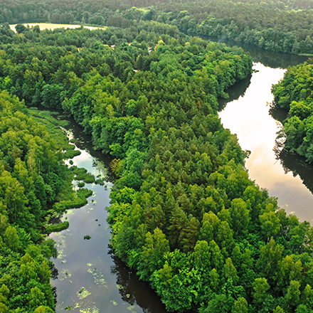 Aerial view of a river in the Amazon rainforest 09