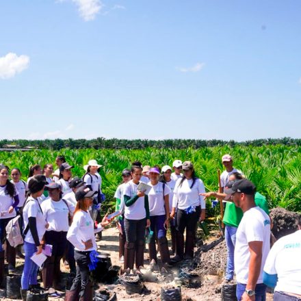image of a group of people at the plantation one of the many social actions of the grupo BBF