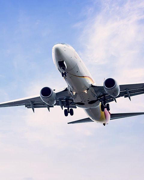 Airplane in the Sky