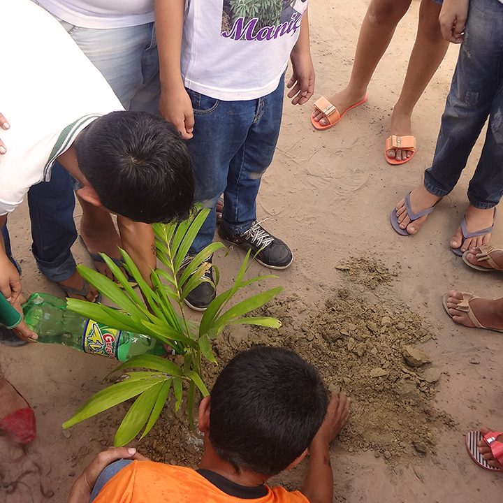 image of children planting palm seedlings one of the many social actions of the grupo BBF