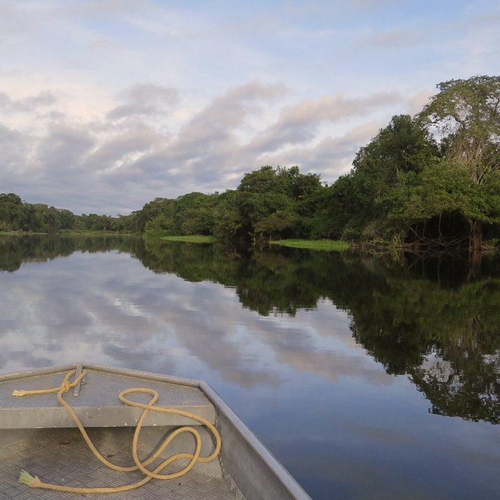 Image of a boat sailing down a river in Rondônia