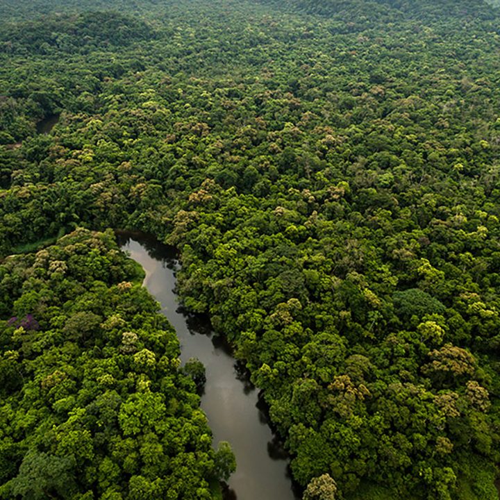 Aerial view of a river in the Amazon rainforest