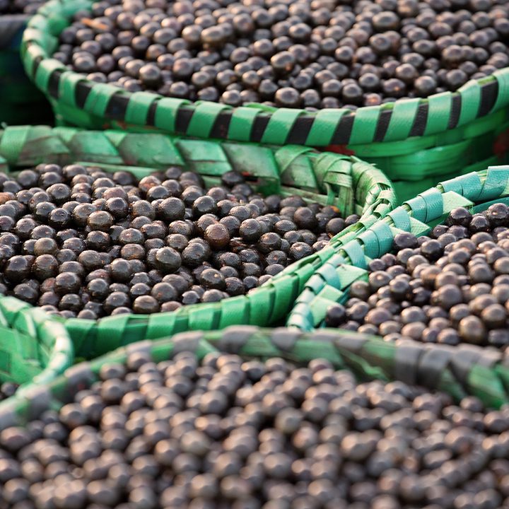 Picture of açaí at a fair in Pará