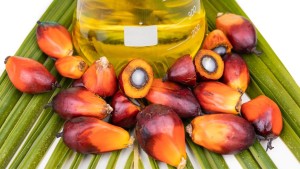 palm oil - laboratory