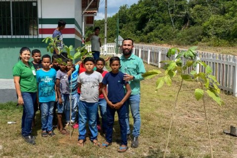 Environment - Raimundo Lima and Santa Lúzia schools