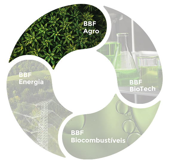 Mandala with the elements of BBF: BBF energy, BBF biofuels, BBF biotech, BBF agro. BBF Agro highlighted.