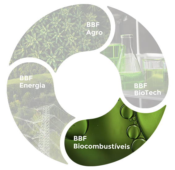 Mandala with the elements of BBF: BBF energy, BBF biofuels, BBF biotech, BBF agro. BBF Biofuels highlighted.
