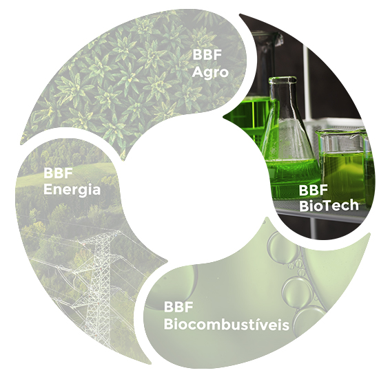 Mandala with the elements of BBF: BBF energy, BBF biofuels, BBF biotech, BBF agro. BBF BioTech highlighted.