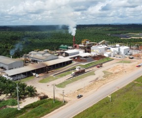 Roraima - industry Grupo BBF