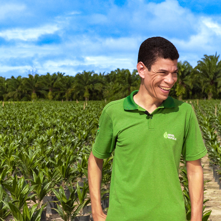 Collaborator in the oil palm plantations of grupo BBF