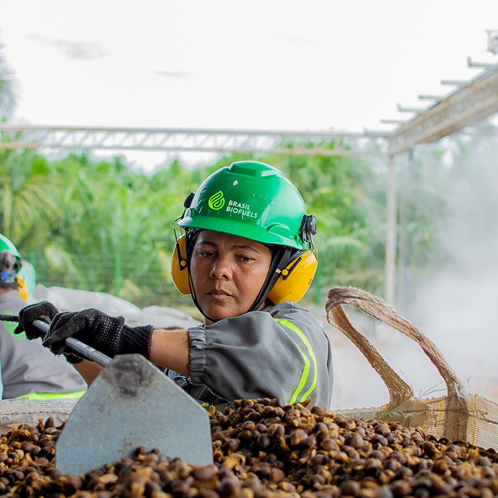 image of a grupo BBF worker in the oil palm plantation