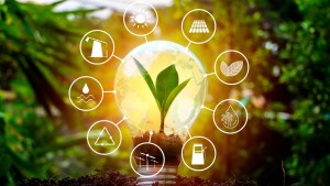 energy transition