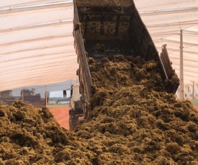 Composting - organic waste oil palm