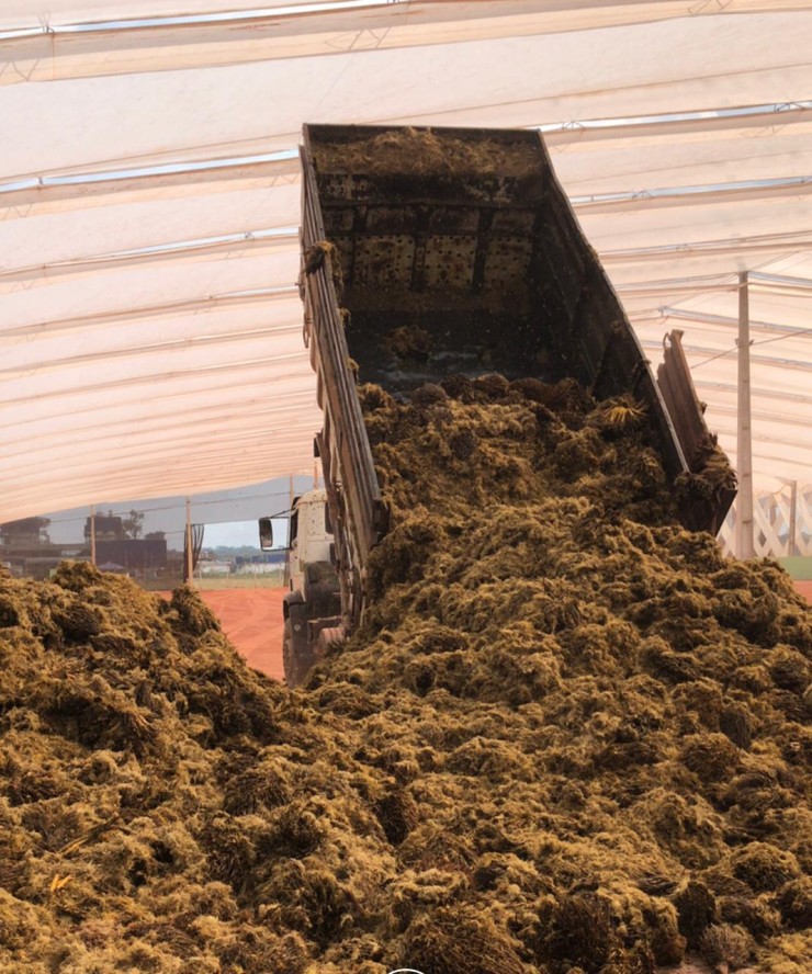 Composting - organic waste oil palm