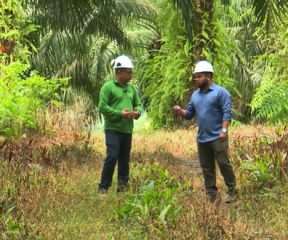 Roraima Rural - report on bioenergy with Grupo BBF employees and CEO Milton Steagall