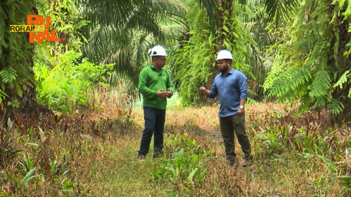 Roraima Rural - report on bioenergy with Grupo BBF employees and CEO Milton Steagall